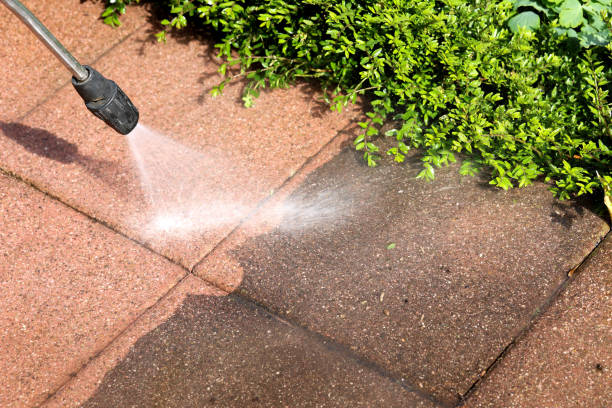 Best Pressure Washing Company Near Me  in West Union, OH