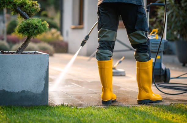 Best Best Pressure Washing Companies  in West Union, OH
